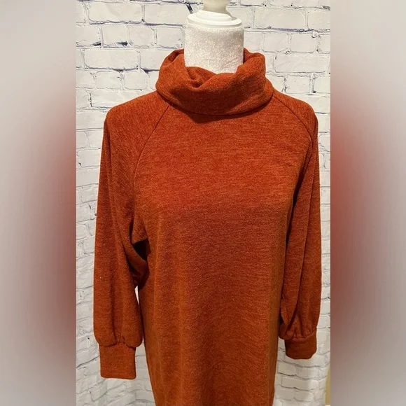 Forever 21 Contemporary Oversized Burnt Orange High Neck Sweater/dress Large - Picture 2 of 7